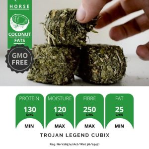 Trojan Legend Cubix 35kg